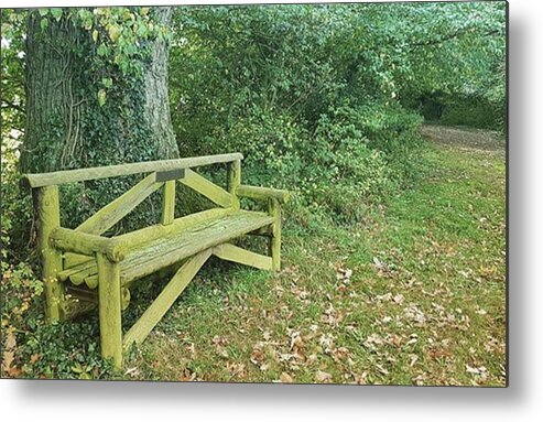 Woodland Metal Print featuring the photograph Woodland Seat by Rowena Tutty