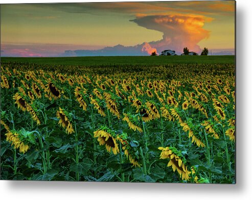 Colorado Metal Print featuring the photograph And Then Things Went Nuclear by John De Bord