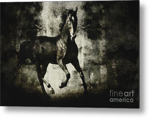  Painting Metal Print featuring the drawing Andalusian horse by Dimitar Hristov