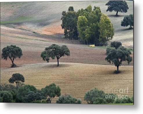 Landscape Metal Print featuring the photograph Andalusian Meadows 1 by Heiko Koehrer-Wagner