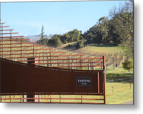 Anderson Valley Metal Print featuring the photograph Anderson Valley Vineyard by Lisa Dunn