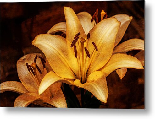 Art Prints Metal Print featuring the photograph Antique Lilies by Dave Bosse