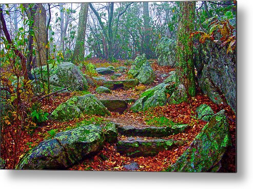 Appalachian Trail Metal Print featuring the photograph Appalachain Trail In The Clouds by The James Roney Collection