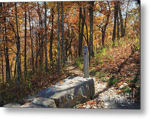 Appalachian Trail Metal Print featuring the photograph Appalachian Trail in Shenandoah National Park by Louise Heusinkveld