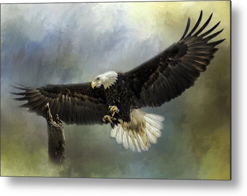 Eagle Metal Print featuring the photograph Approaching His Perch by Eleanor Abramson