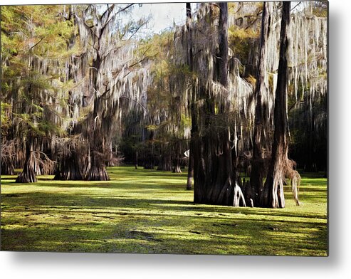 Autumn Metal Print featuring the photograph Aquatic Fern Boat Path by Lana Trussell