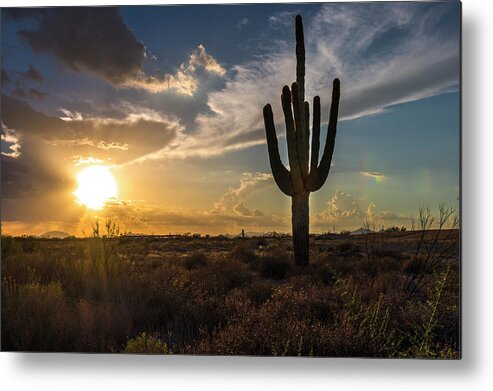  Metal Print featuring the photograph Arizona Vibes by Bryan Xavier