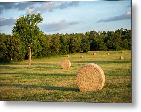 Hay Metal Print featuring the photograph Arkansas Hayfield by James Barber