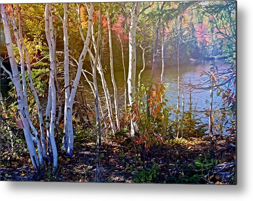 Trees Metal Print featuring the mixed media Aspen trees in the fall by Tatiana Travelways