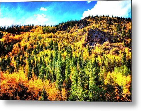 Colorado Metal Print featuring the photograph Aspens Aflame No. 1 by Roger Passman