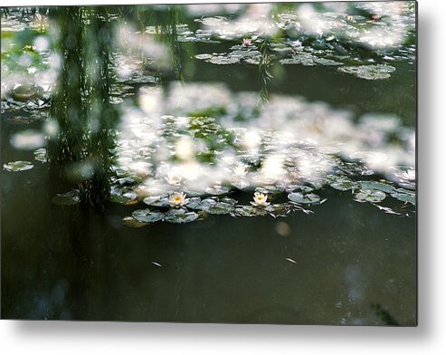 Impressionism Photos Metal Print featuring the photograph At Claude Monet's Water Garden 5 by Dubi Roman