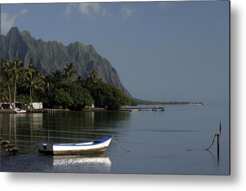  Metal Print featuring the photograph At Rest, Oahu by Kenneth Campbell