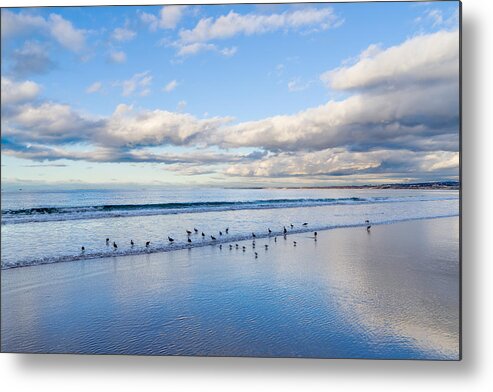 Monterey Metal Print featuring the photograph At the Water's Edge by Derek Dean