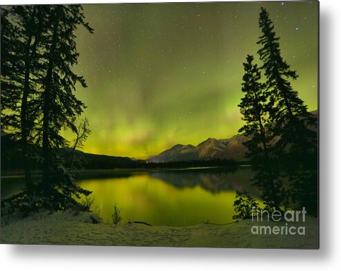 Canadian Northern Lights Metal Print featuring the photograph Aurora Over The Forest by Adam Jewell