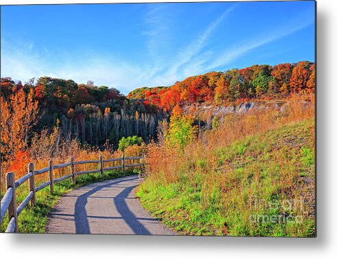 Toronto Metal Print featuring the photograph Autumn Hiking Trail by Charline Xia