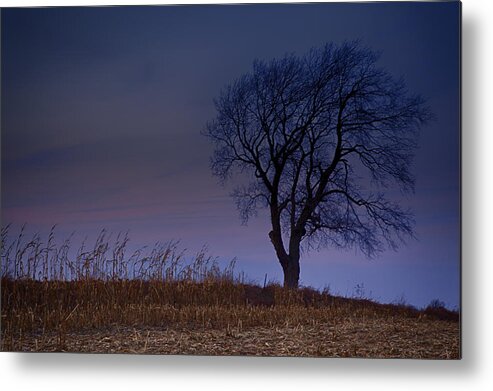 Wisconsin Metal Print featuring the photograph Autum Tree by CA Johnson