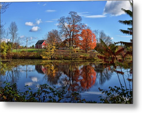Tree Metal Print featuring the photograph Autumn At The Farm by Tricia Marchlik
