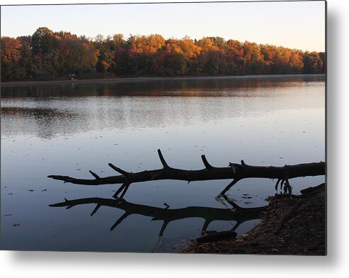 Foliage Metal Print featuring the photograph Autumn at the Lake by Vadim Levin