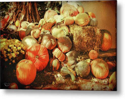Autumn Metal Print featuring the photograph Autumn Collection by Theresa Campbell