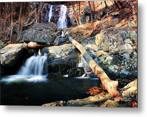 Autumn Metal Print featuring the photograph Autumn Falls by Rebecca Davis