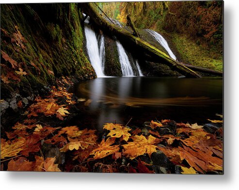 Autumn Metal Print featuring the photograph Autumn Flashback by Andrew Kumler