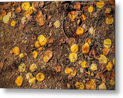 Autumn Metal Print featuring the photograph Autumn Floor by Michael Brungardt