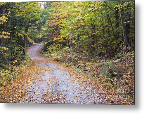 1800s Metal Print featuring the photograph Autumn Foliage - Sandwich Notch Road New Hampshire by Erin Paul Donovan