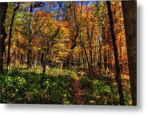 Pictorial Metal Print featuring the photograph Autumn Forest Path at Johnson's Mound by Roger Passman