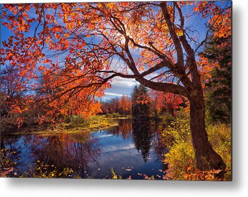 Kelly River Wilderness Area Metal Print featuring the photograph Autumn Glory by Irwin Barrett