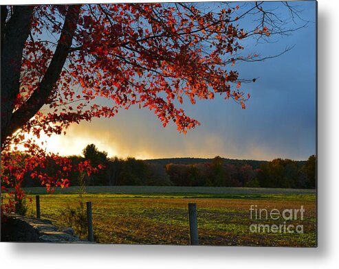 Autumn Metal Print featuring the photograph Autumn Glow by Tammie Miller