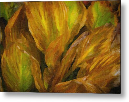 Cone Flowers Metal Print featuring the photograph Autumn Hostas by Tom Singleton