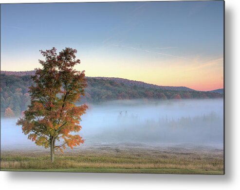 West Virginia Metal Print featuring the photograph Autumn in Canaan Valley WV by Jack Nevitt
