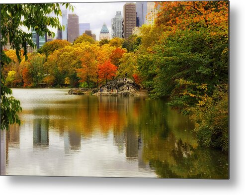 Nature Metal Print featuring the photograph Autumn in Central Park by Jessica Jenney