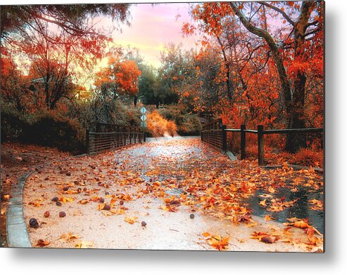 Fall Metal Print featuring the photograph Autumn in Discovery Lake by Alison Frank