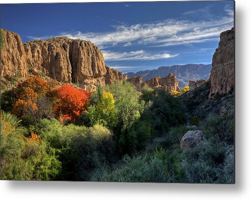 Autumn Metal Print featuring the photograph Autumn in the Garden by Sue Cullumber