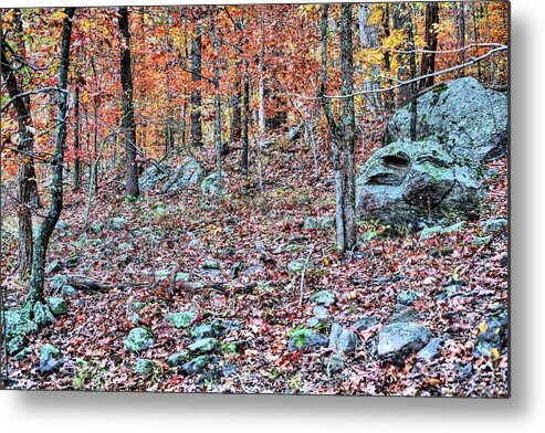 Autumn In The Ozarks Metal Print featuring the photograph Autumn in the Ozark National Forest by JC Findley