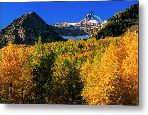 Landscape Metal Print featuring the photograph Autumn in the Wasatch by Grant Sorenson