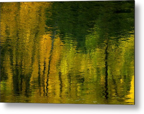 Water Metal Print featuring the photograph Autumn In Truckee by Donna Blackhall