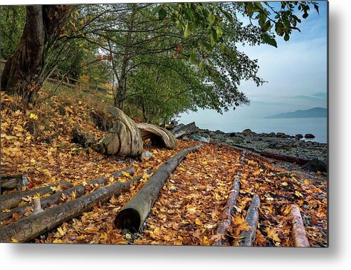 Alex Lyubar Metal Print featuring the photograph Autumn landscape on a wild beach by Alex Lyubar