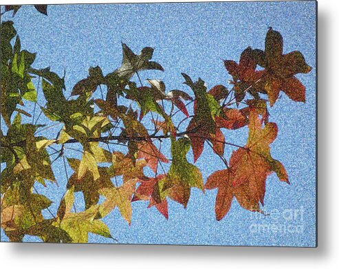 Autumn Metal Print featuring the photograph Autumn Leaves 3 by Jean Bernard Roussilhe