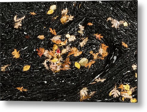 David Letts Metal Print featuring the photograph Autumn Leaves Abstract by David Letts