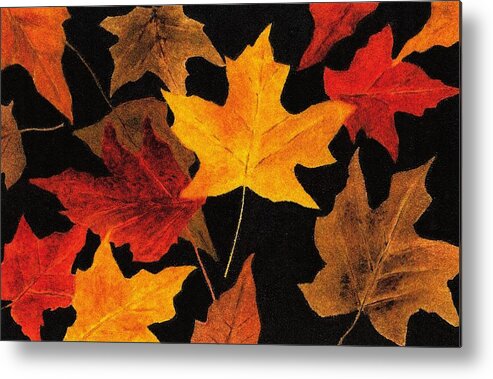 Leaves Metal Print featuring the painting Autumn Leaves by Michael Vigliotti