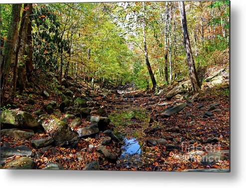 Autumn Metal Print featuring the photograph Autumn Magical Colors by Paul Mashburn