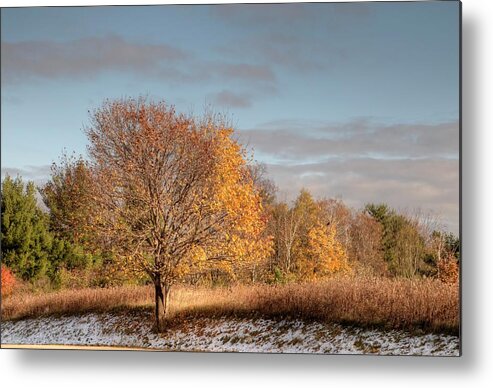  Autumn Metal Print featuring the photograph Autumn Morning by Ann Bridges