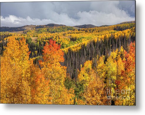 Autumn Metal Print featuring the photograph Autumn Near Scofield by Spencer Baugh