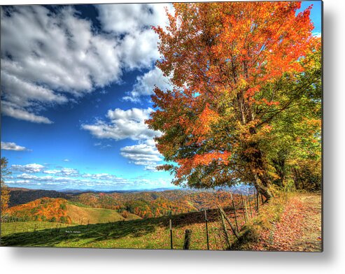 Autumn Metal Print featuring the photograph Autumn on the Windfall by Dale R Carlson