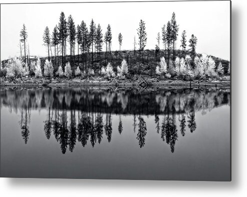 British Columbia Metal Print featuring the photograph Autumn Reflections II Black and W by Allan Van Gasbeck