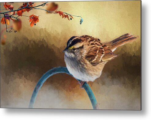 Bird Metal Print featuring the photograph Autumn Sparrow by Cathy Kovarik