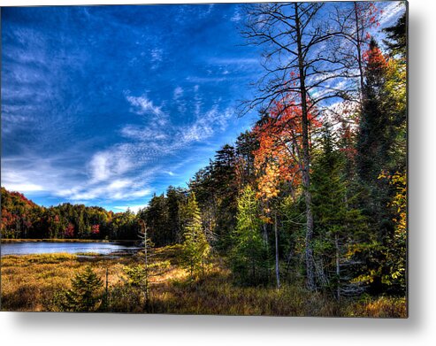 Autumn Spendor On Fly Pond Metal Print featuring the photograph Autumn Spendor on Fly Pond by David Patterson