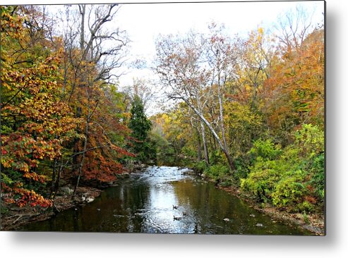 Autumn Stream 2 Metal Print featuring the photograph Autumn Stream 2 by Dark Whimsy